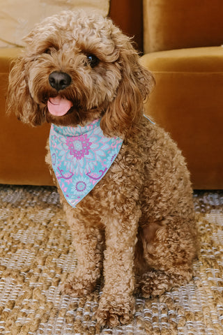 lovers-beach-dog-bandana-medium