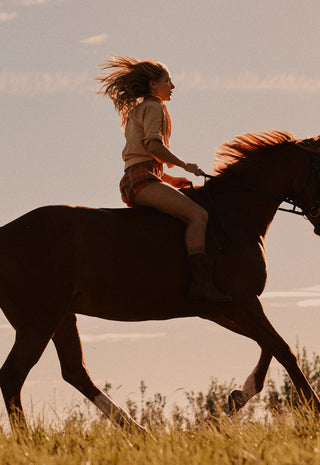 A woman riding a dark horse across a grassy field at sunset, shown in profile with warm golden light and a soft blurred background.